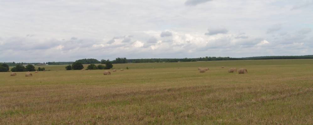 
            Фотография Урюсево