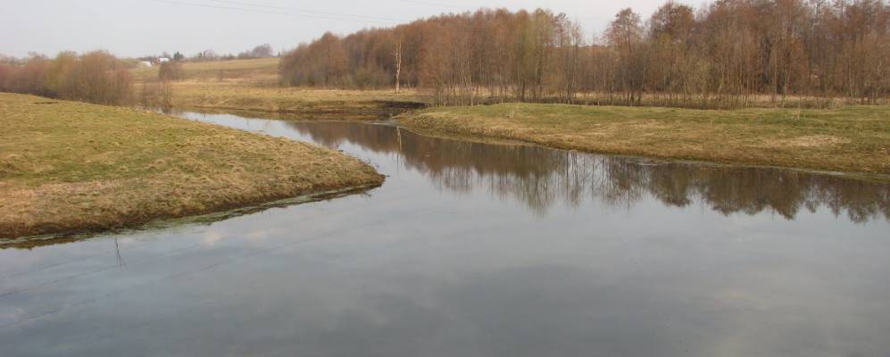 
            Фотография Душкино