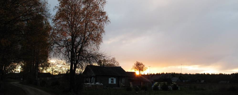 
            Фотография Шогды