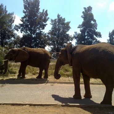 Блумфонтейн