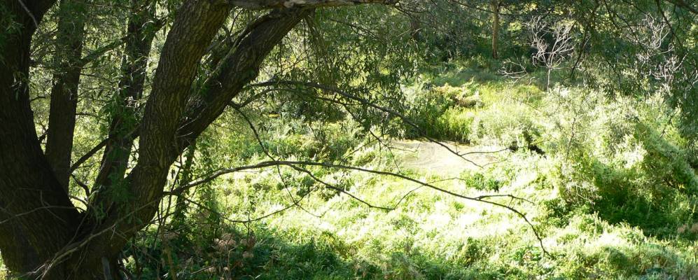 
            Фотография Северного