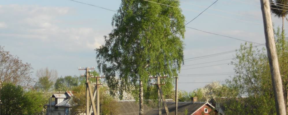 
            Фотография Лонки