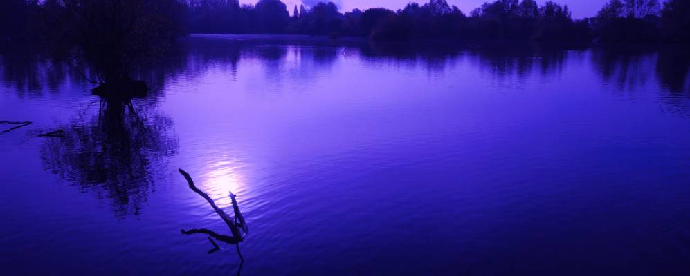 
            Фотография Снодланда