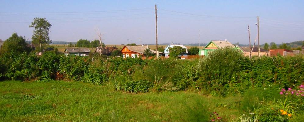 
            Фотография Березовки