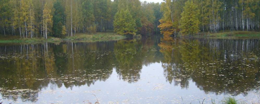 
            Фотография Федоровки