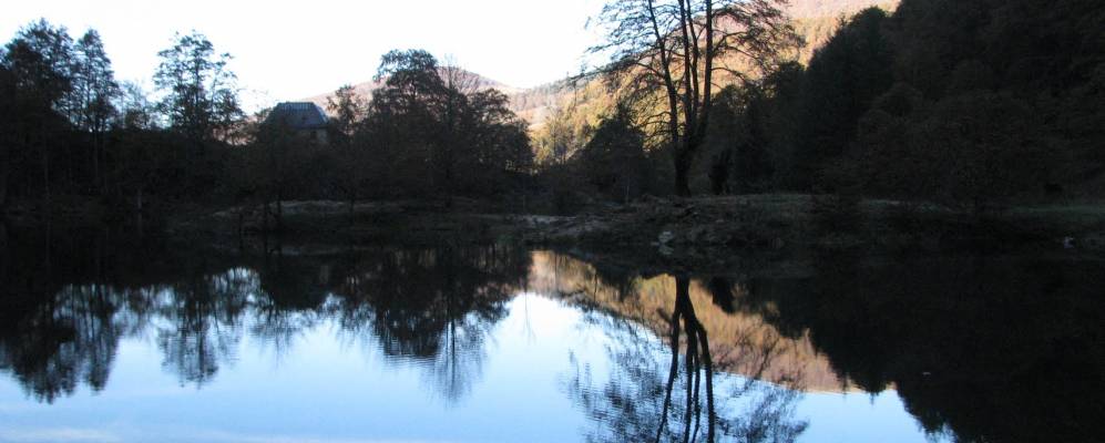 
            Фотография Бетмаля