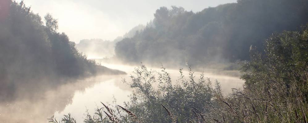 
            Фотография Сандаков