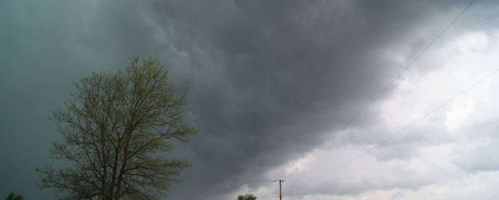 
            Фотография Сессера