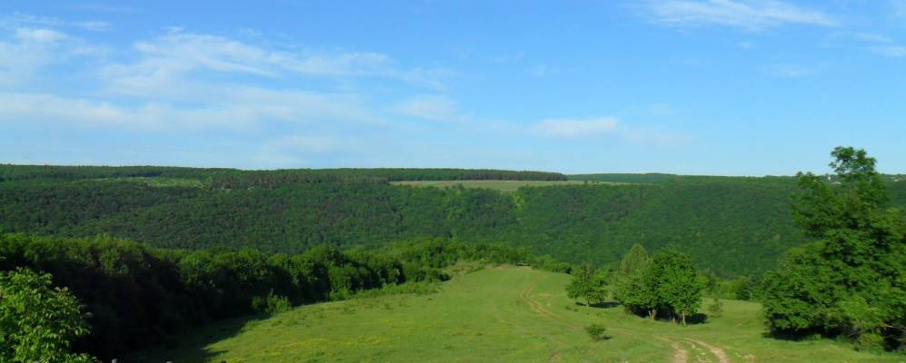 
            Фотография Сокольца