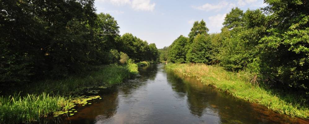 Фотография Горки