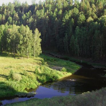 Новая Михайловка