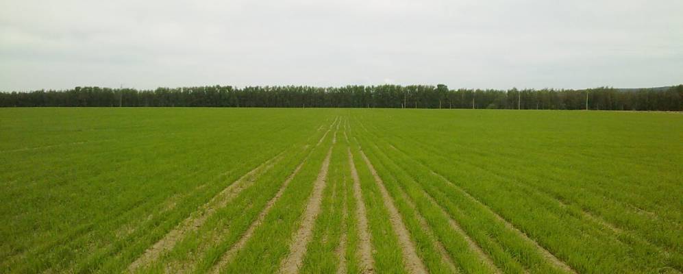 
            Фотография Чижово