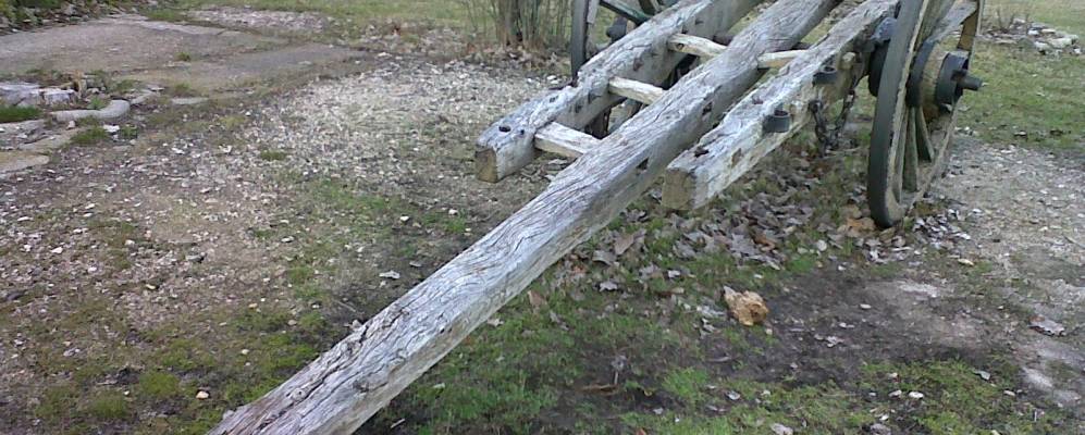 
            Фотография Раскафриы