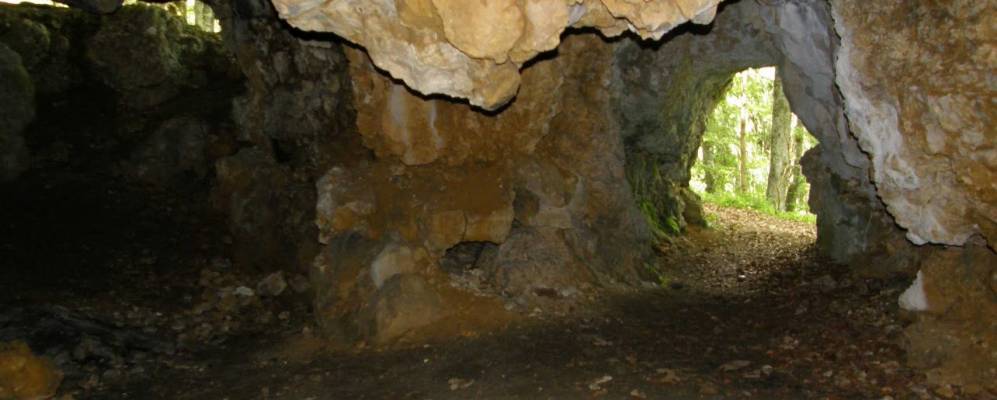 
            Фотография Битца