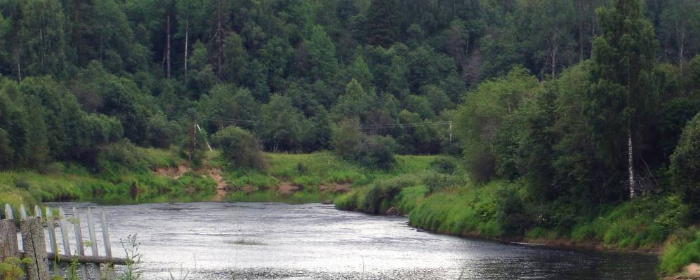 
            Фотография Сашково