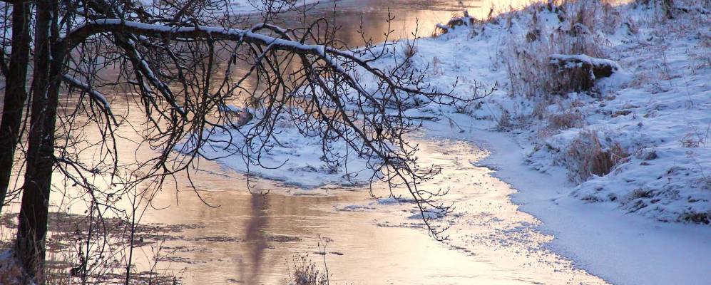 
            Фотография Шапши