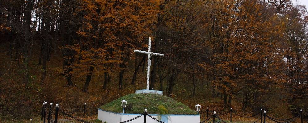 
            Фотография Лозино