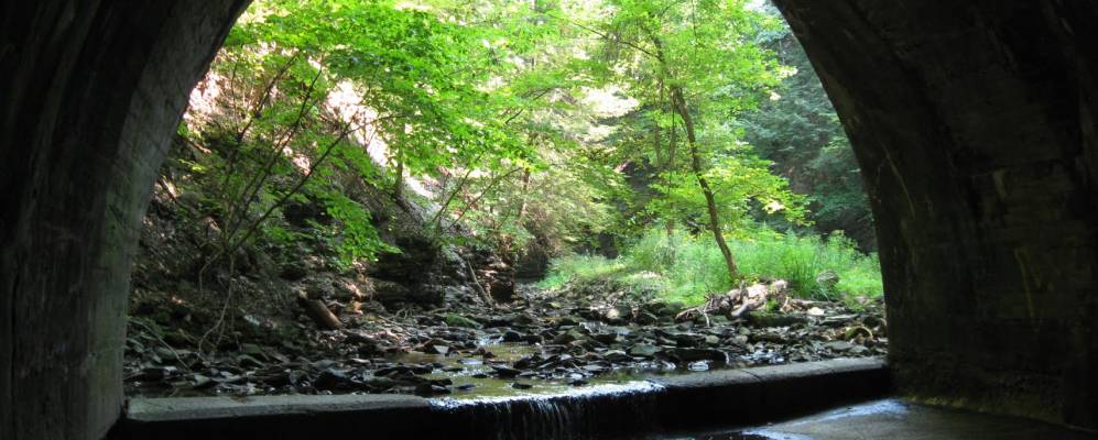 
            Фотография Уолтон Хиллс