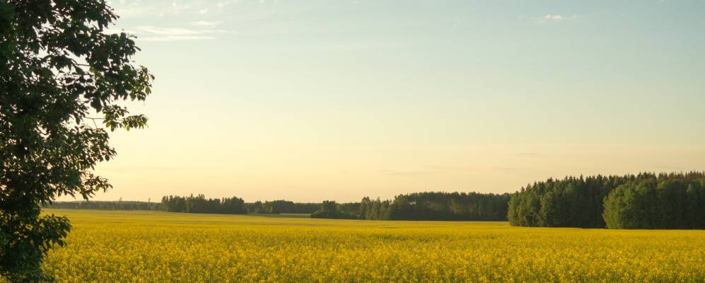
            Фотография деревни Студёнки