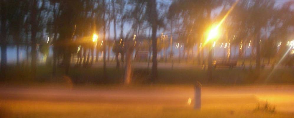 
            Фотография Нисевилла