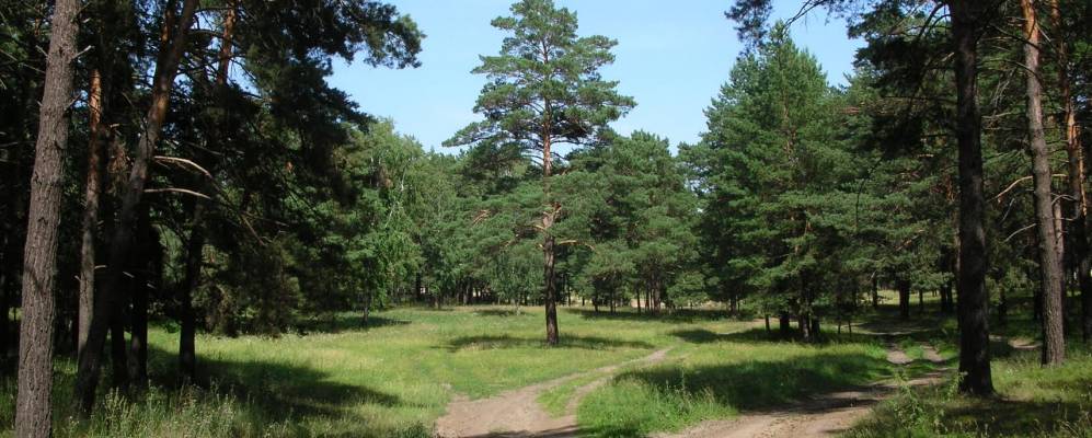 
            Фотография Приобского