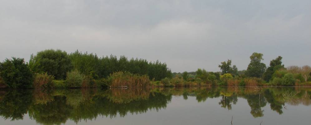 
            Фотография Майоровского