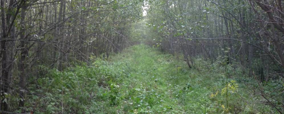 
            Фотография Кононово