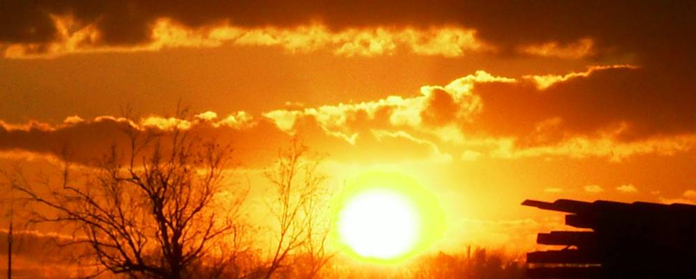 
            Фотография Ункурды