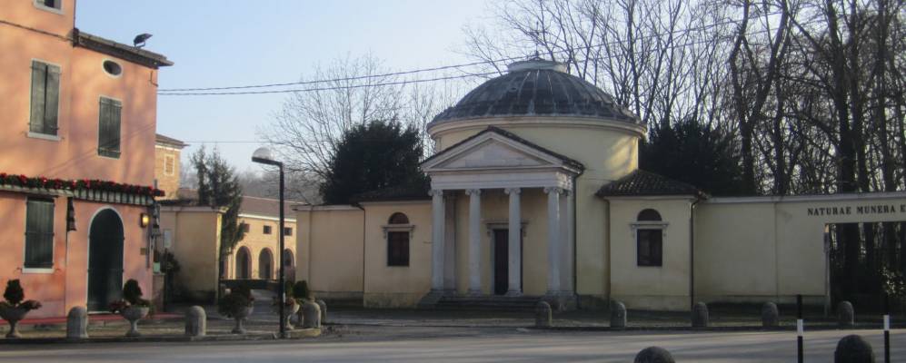 Фотография Саонары