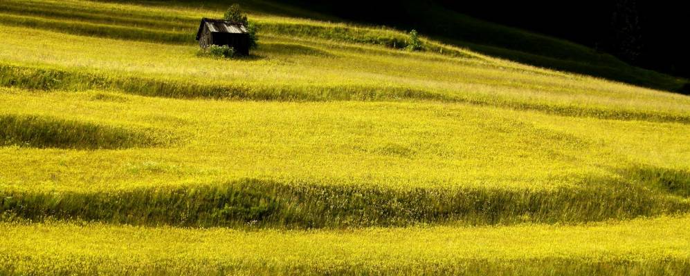 
            Фотография Поцца-ди-Фасса