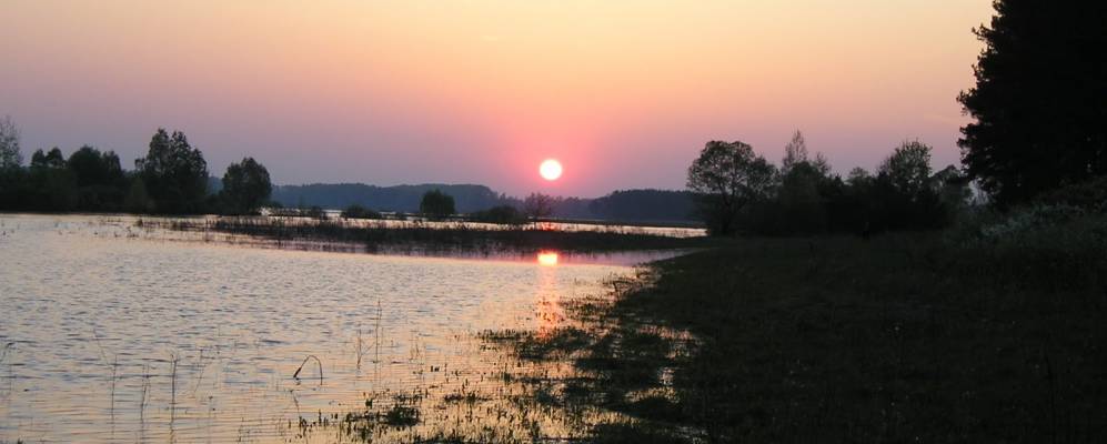 
            Фотография Петуховки