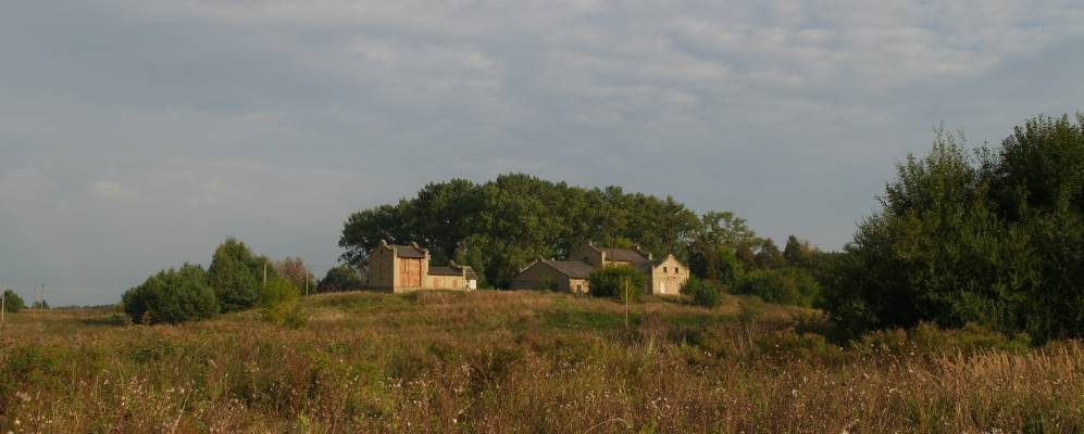 Фотография Белолесья