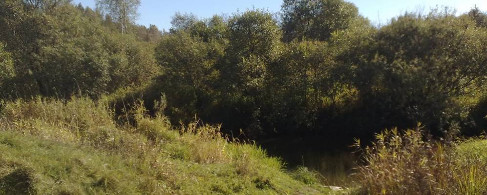 
            Фотография Часовни