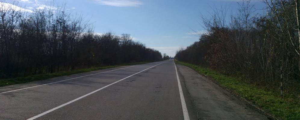 
            Фотография Лесовой Поляны