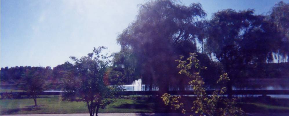 
            Фотография Грин Оакса