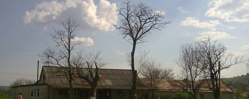 
            Фотография Карповки