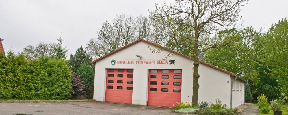 
            Фотография Гойсы