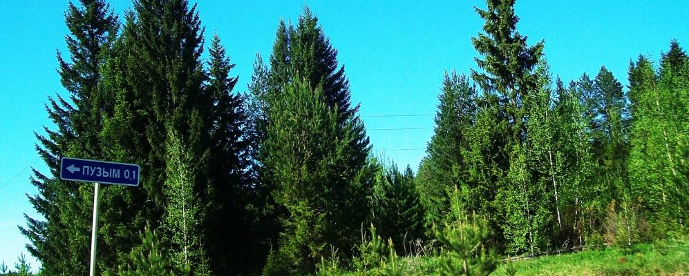 
            Фотография Пузыма