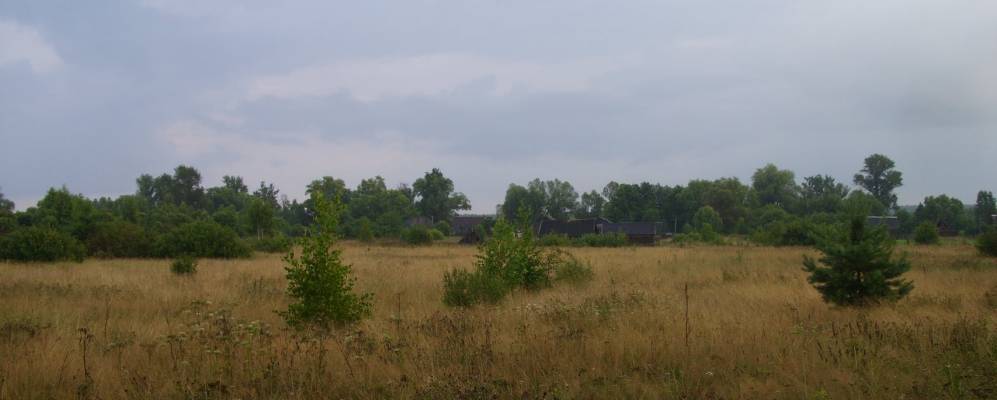 Фотография Гаврино