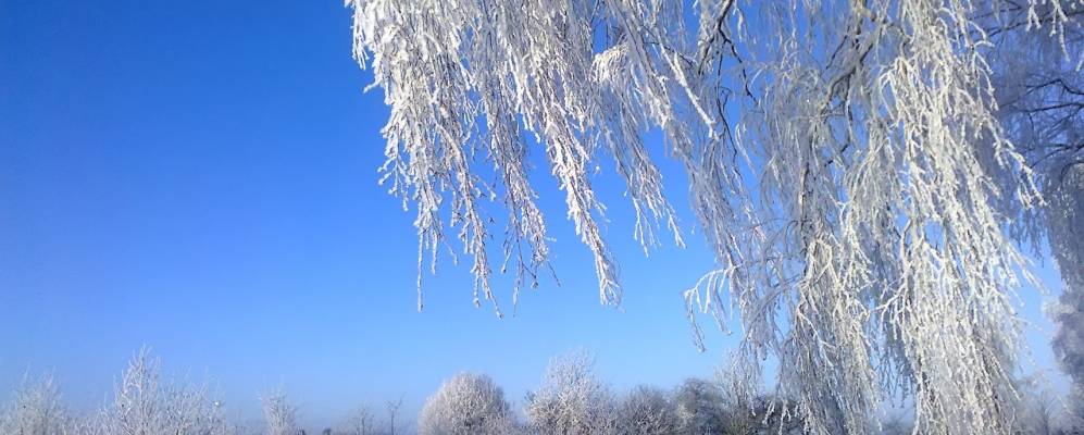 
            Фотография Чировичей