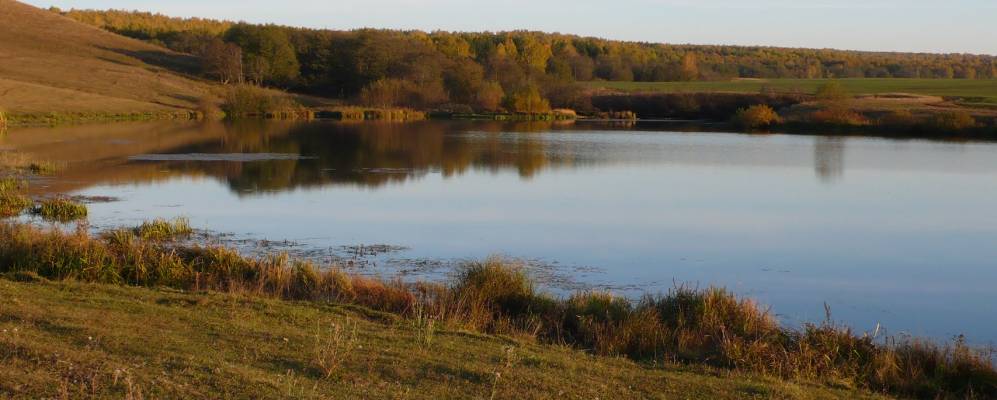 Фотография Зидигана