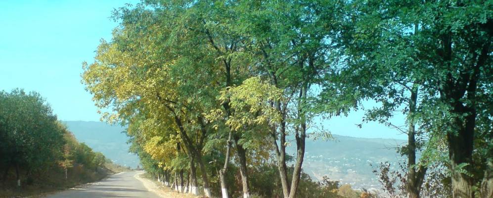 
            Фотография Замай-Юрта