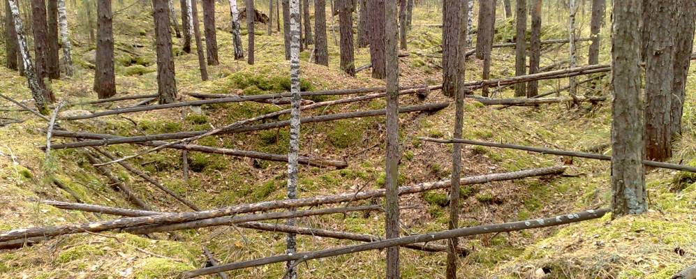 
            Фотография Головырина