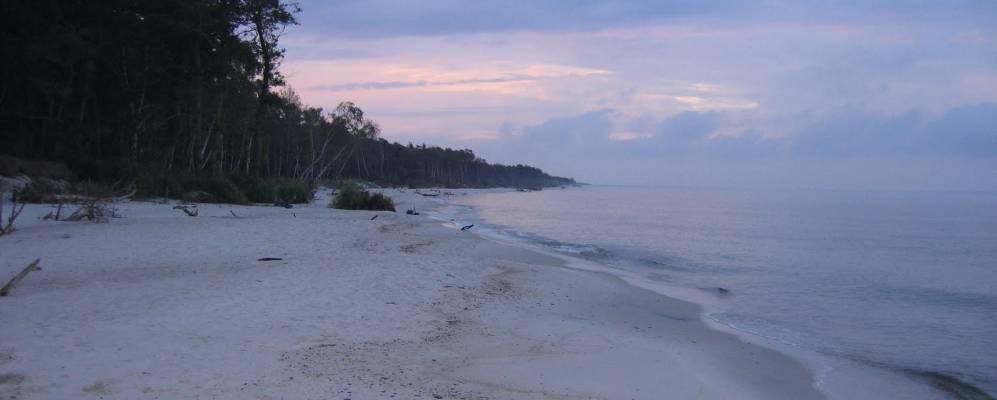 
            Фотография Нексё