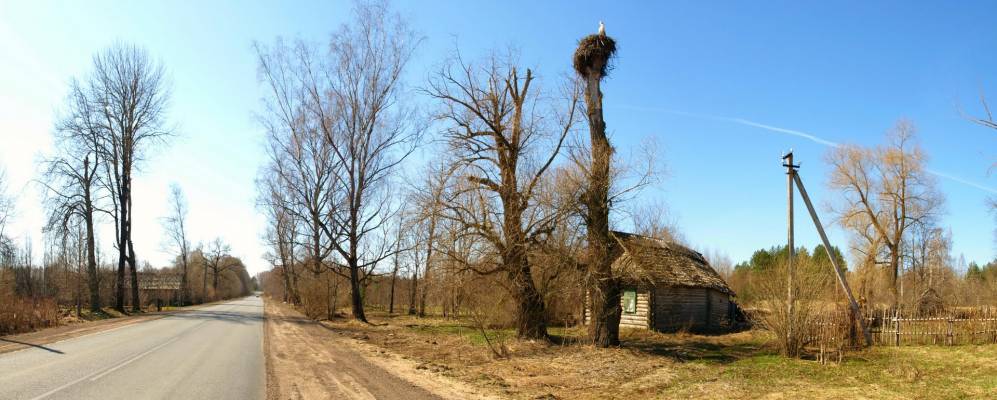 
            Фотография Гнилища