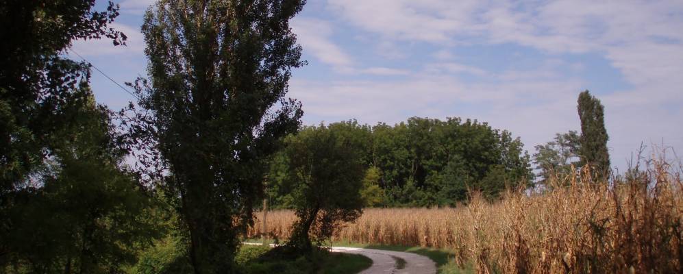 
            Фотография Сальгареды