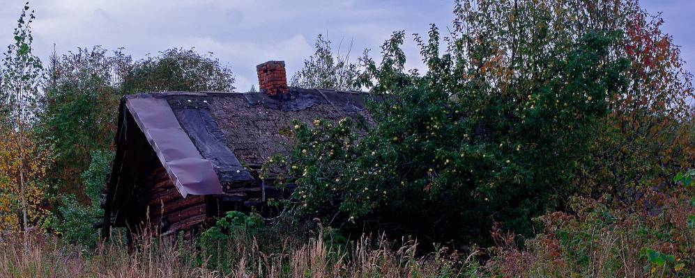 
            Фотография Починка