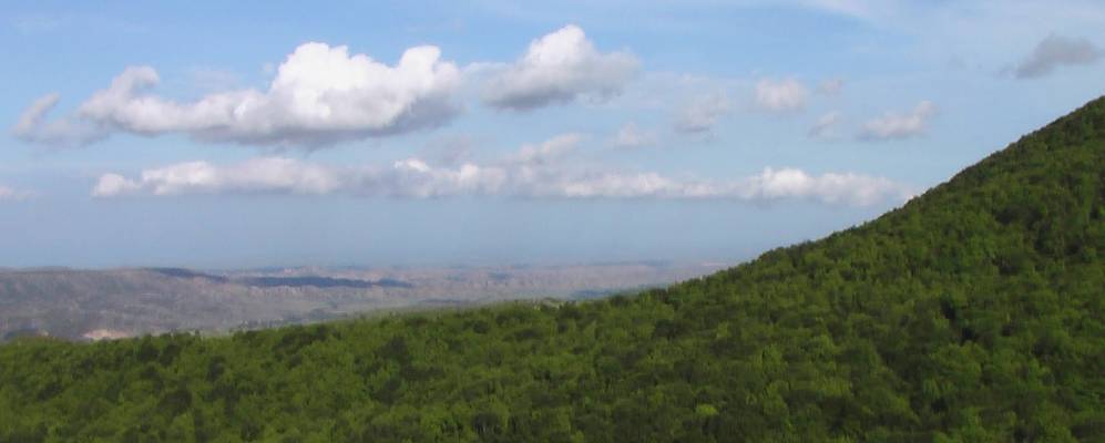 
            Фотография Ушнига