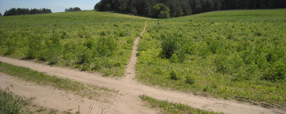 
            Фотография поселка Преньки