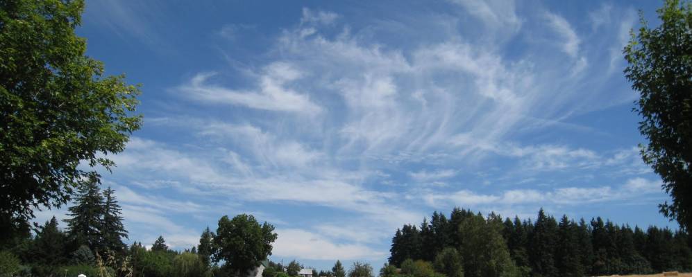 
            Фотография Браш Плейри